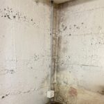 Feuchtigkeit im Altbau reduzieren: Effektive Strategien für ein gesundes Raumklima